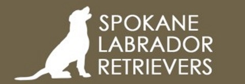 Spokane labrador retriever logo