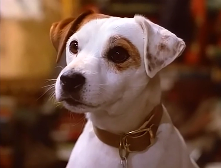 Wishbone Dog 1995, Big Feats! Entertainment