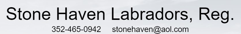 Stone Haven Labs