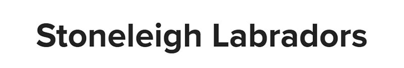 Stoneleigh Labradors logo