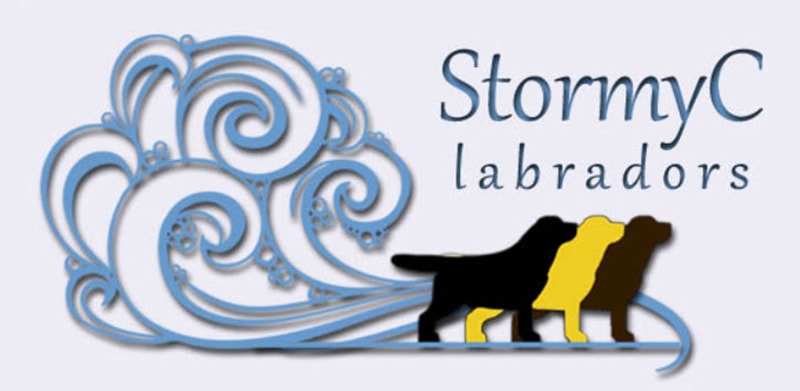 StormyC Labradors logo