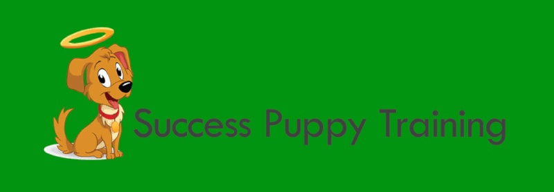 Success Puppy Training logo