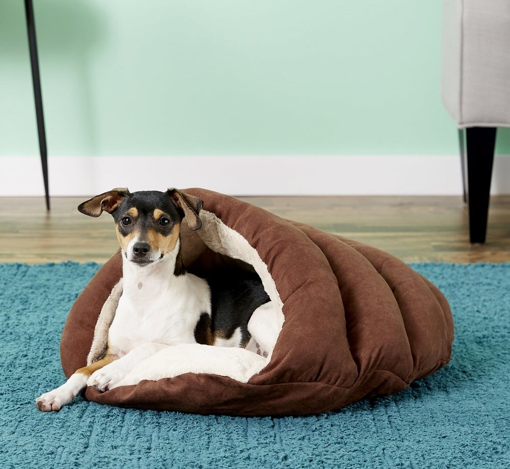 Terrier in Dog Bed Cave in brown