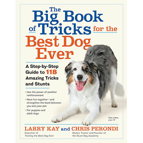 The Big Book of Tricks for the Best Dog Ever A Step-by-Step Guide to 118 Amazing Tricks & Stunts