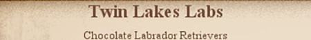 Twin Lakes Labrador Retrievers