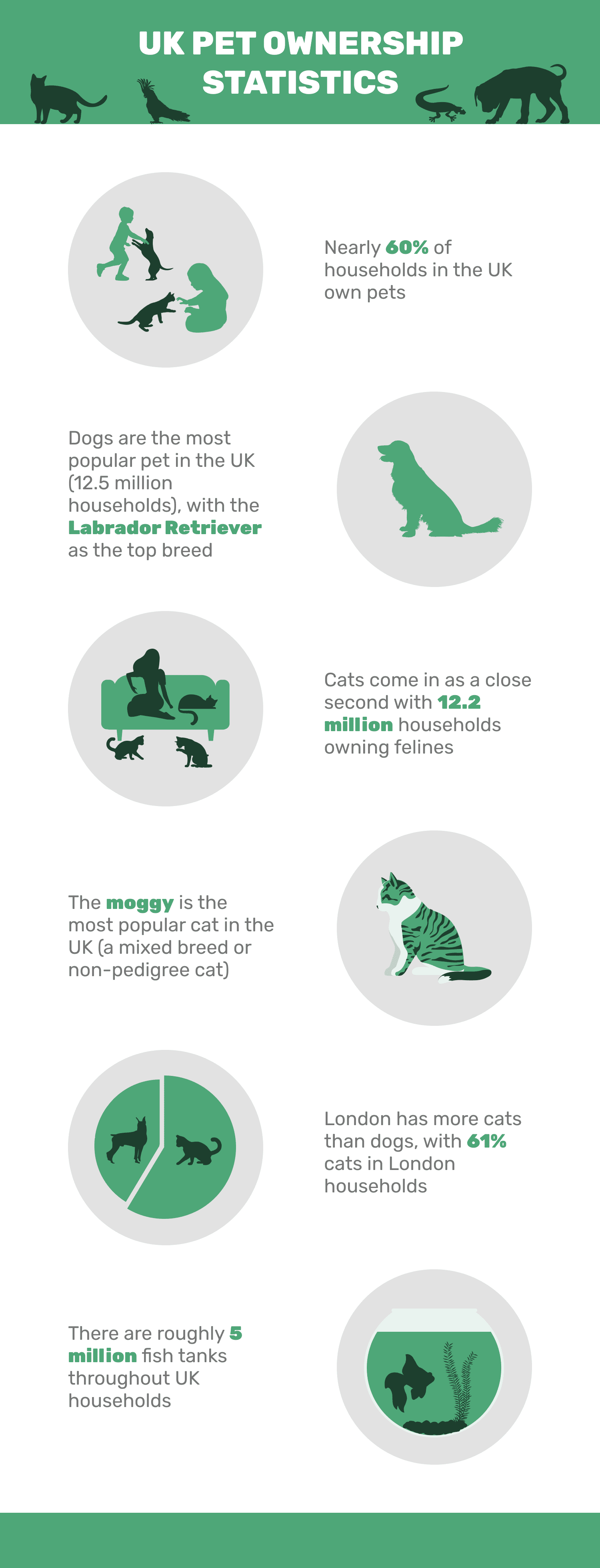 UK pet ownership stats