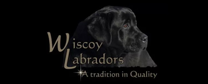 Wiscoy Labradors logo