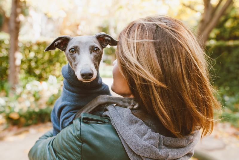 Woman-is-hugging-Italian-greyhound-puppy