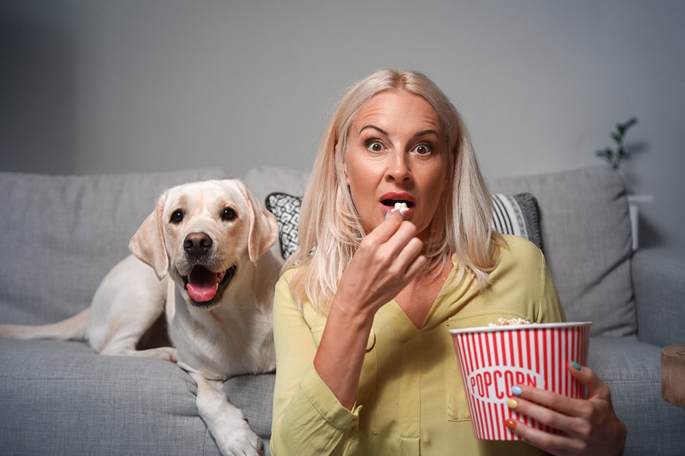 Woman with cute Labrador dog eating popcorn while watching TV