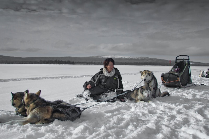 Woman with sled dogs