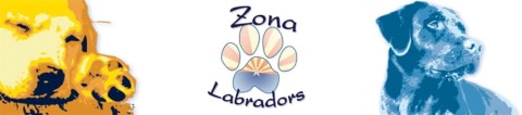 Zona Labradors Logo