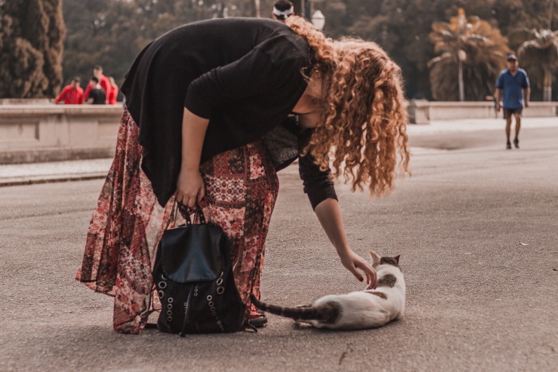 a woman saving a street cat