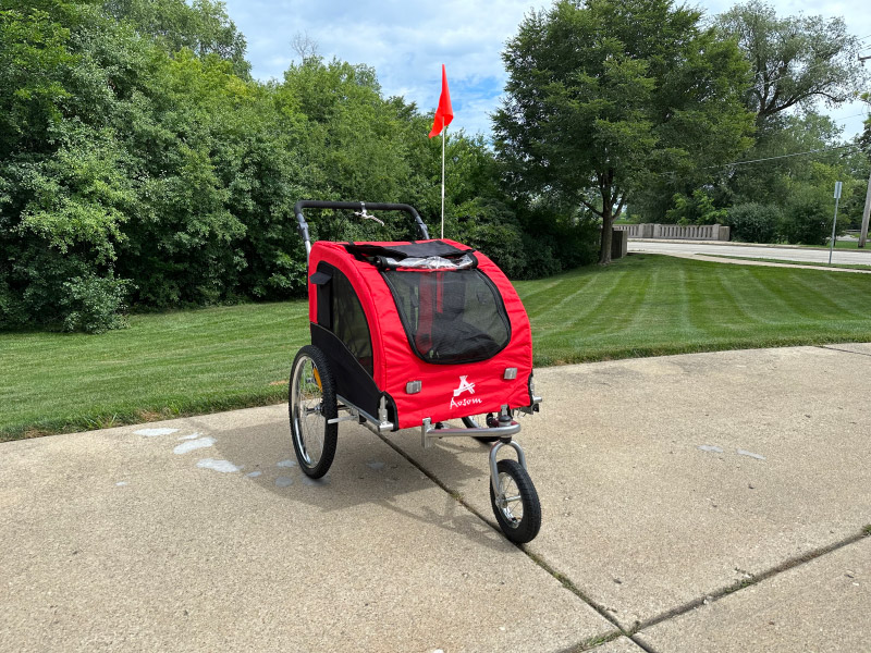 Are Dog Bike Trailers Safe? We Asked An Expert to Find Out