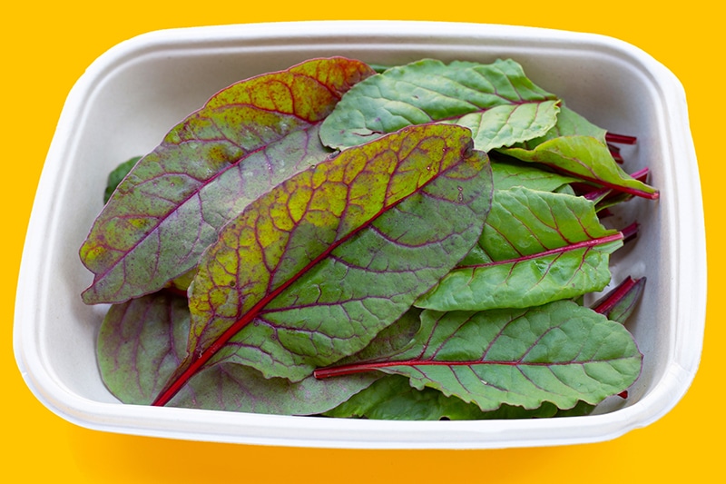 baby swiss chard leaves on a bowl