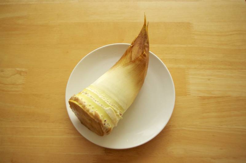 bamboo shoot on white plate