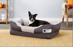 barksbar bolster dog bed_Chewy