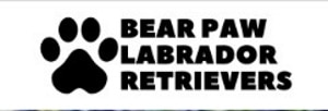 bear-paw-labrador-logo