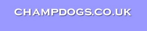 champdogs logo
