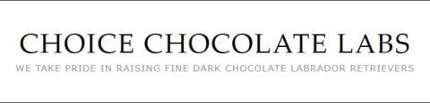 choice chocolate labs logo