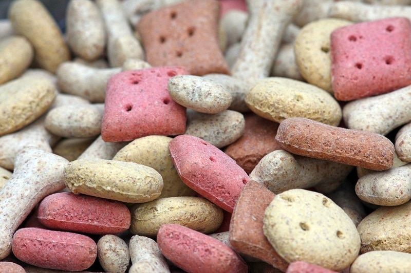 close up of dog food
