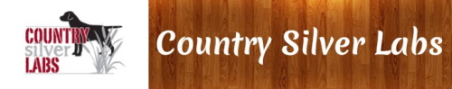 country silver labs logo