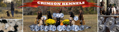 crimson kennels logo