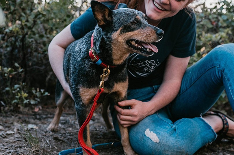 cropped woman hugging her puppy with red and teal waterproof collar