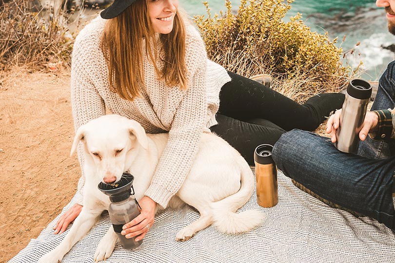 cropped woman letting her dog drink from a portable dog water bottle