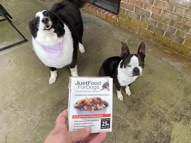 cropped woman showing a box of just food for dogs recipe