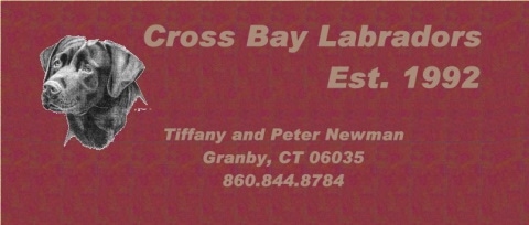 cross bay labrador logo
