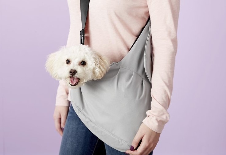 cute white dog inside a sling