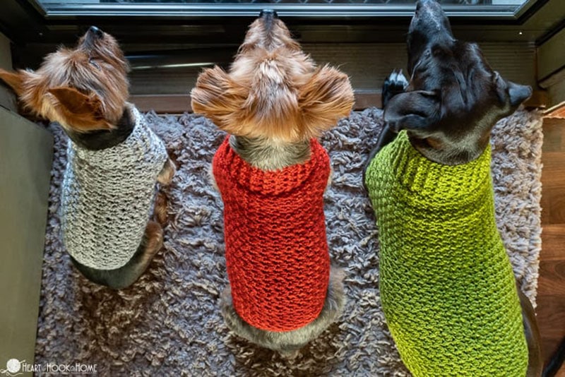 diy crochet dog sweater pattern