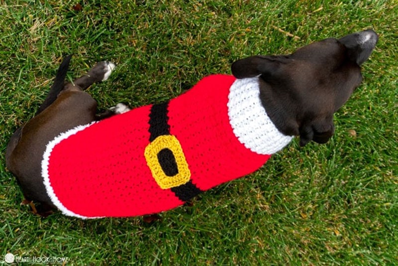 diy holiday dandy dog sweater variations