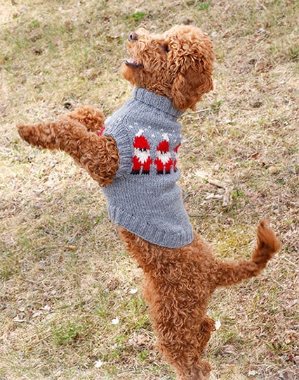 diy knitted christmas jumper for dogs