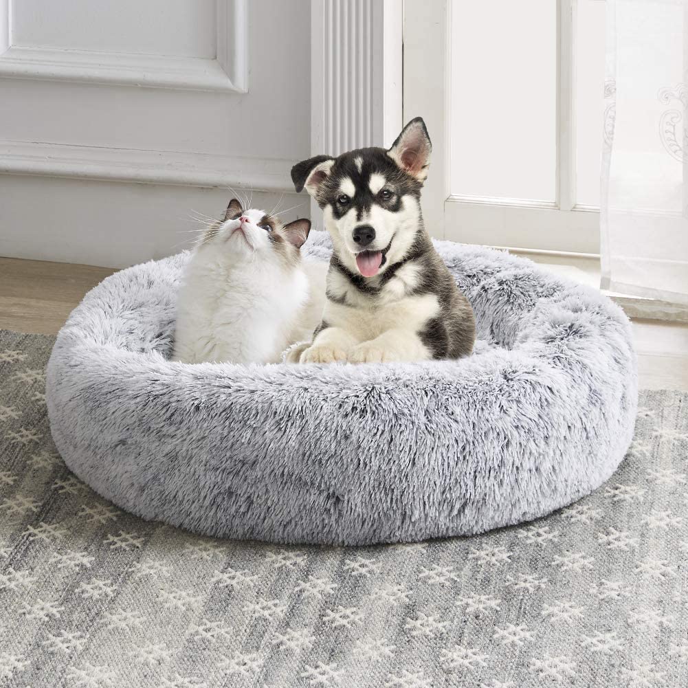 dog and cat in SAVFOX Long Plush Comfy Calming & Self-Warming Bed