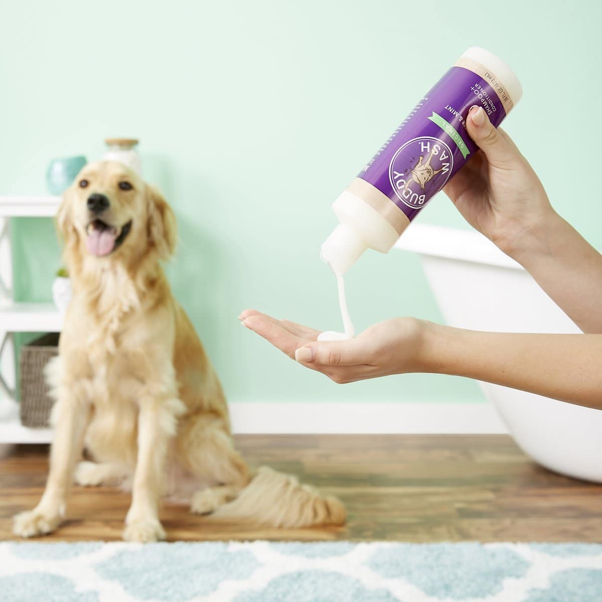 dog bath time with Buddy Wash Original Lavender & Mint Dog Shampoo & Conditioner