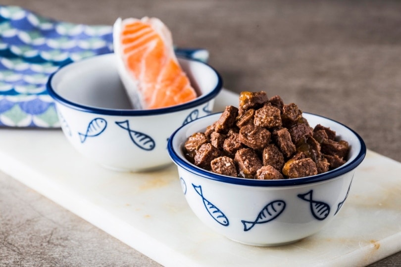 dog food with salmon in a bowl