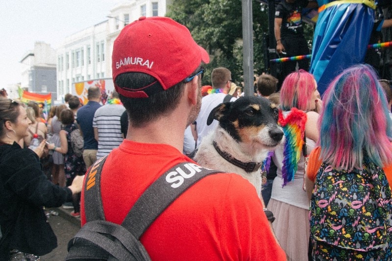 dog owner bringing his pet at a festival