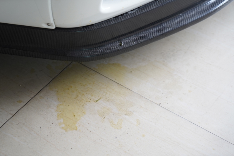 dog pee stain on garage floor