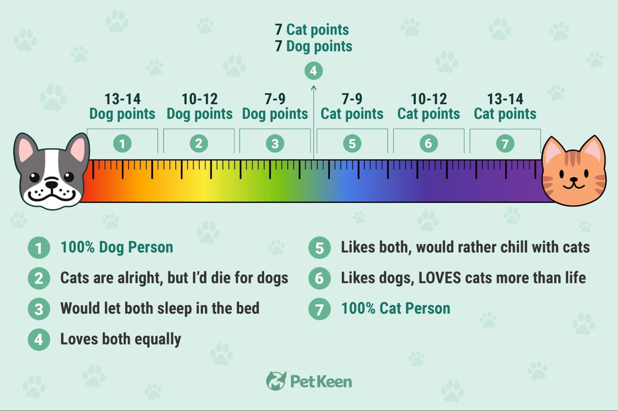 dog person vs cat person test result