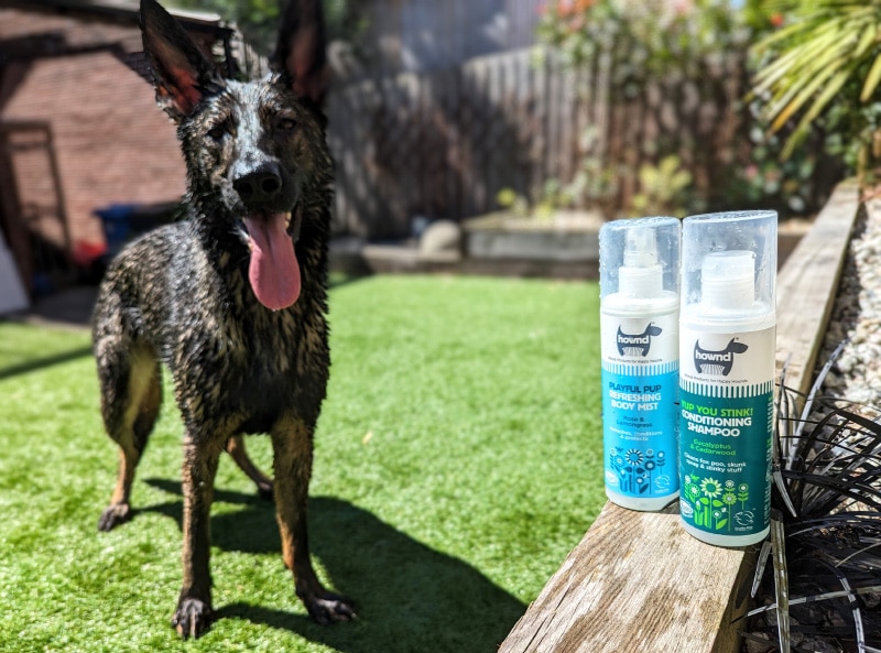 dog posing next to hownd conditioning shampoo and body mist bottles