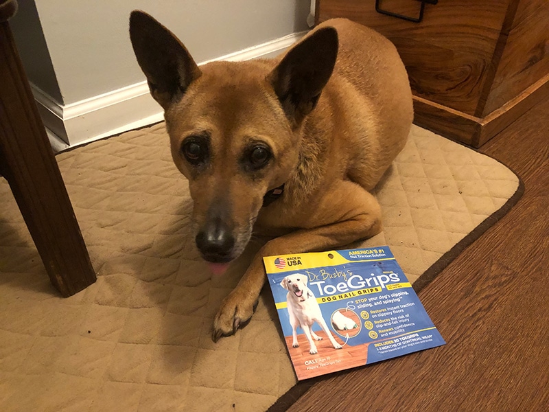 dog with ToeGrips packet