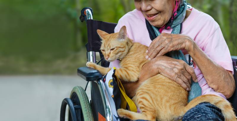 elder woman on a wheelchair holding a cat outdoors