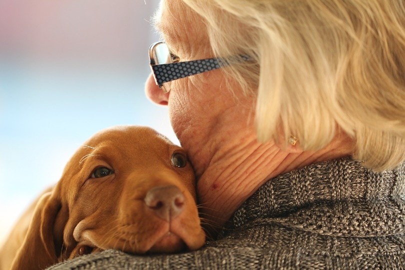 elderly woman hugging a Vizsla puppy