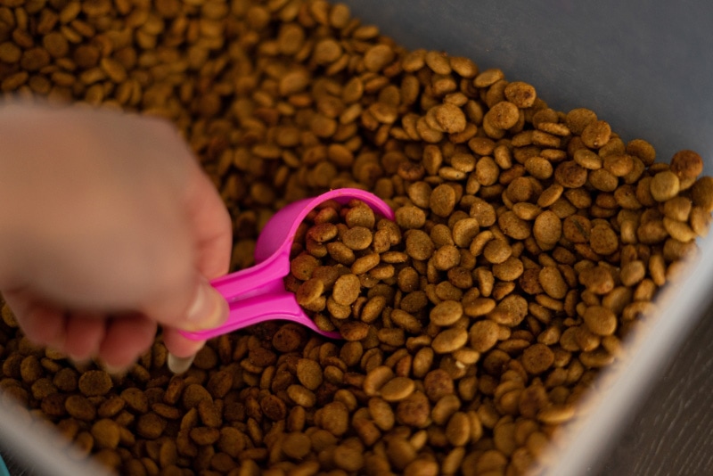 female hand scooping up a portion of dog food kibble
