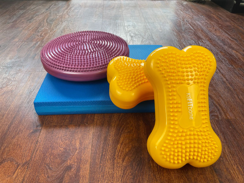fitpaws strength and balance training products