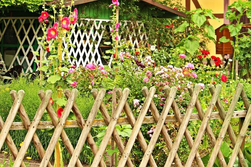 garden with fence