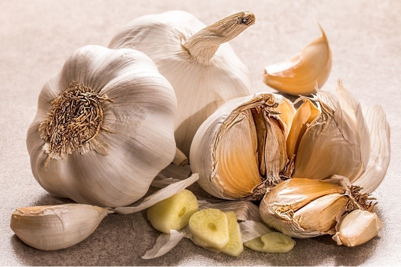 garlic closeup shot