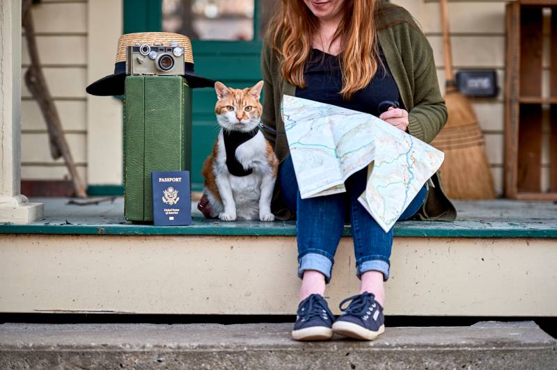 girl looking at a map with her cat