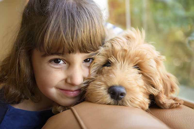 girl with labradoodle